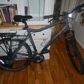 User avatar for Armando Paz