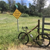 User avatar for Alex Shannon