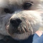 User avatar for Katie Saldivar