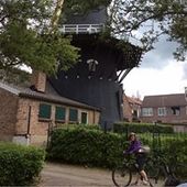 User avatar for Mireille Duchesne