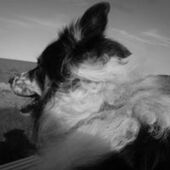 User avatar for Cathy Farrow