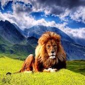 User avatar for Benoit Lacoste