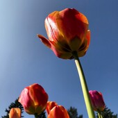 User avatar for Kathleen Asselin