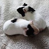 User avatar for Joanna Worrall