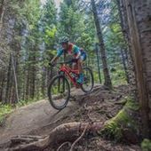 User avatar for Carolanne Gariépy