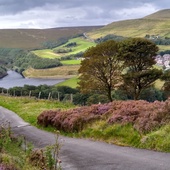 User avatar for Matthew Britton