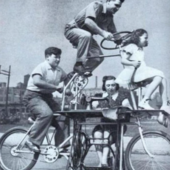 User avatar for Joy Voigt