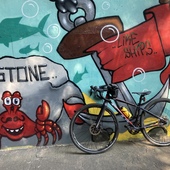 User avatar for Claire Ward