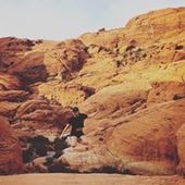 User avatar for Annabel Brown