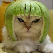 User avatar for Cheryl B