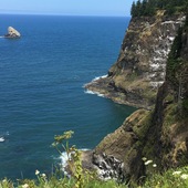 User avatar for Brenda Sanchez