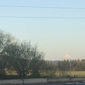 User avatar for Allison Barrineau