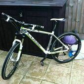 User avatar for Laura Worrell