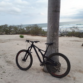 User avatar for Marie Claude Devin