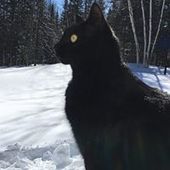 User avatar for Cyn Arsenault