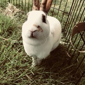 User avatar for Becky White