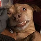 User avatar for Michael Fernandez