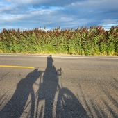 User avatar for Claire Rajol