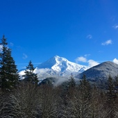 User avatar for Erin Bell