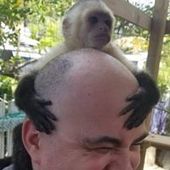 User avatar for Benoit Desgreniers