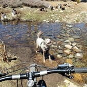 User avatar for Mason Bindl