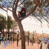 User avatar for Allan Lachhar