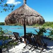 User avatar for Annie Guerin