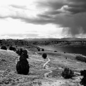 User avatar for jose perez