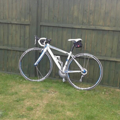 User avatar for Alice Wright