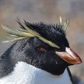 User avatar for Adam Higgin