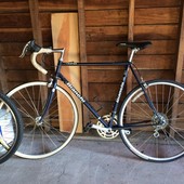 User avatar for Kian Messkoub