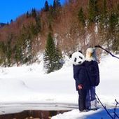 User avatar for Dé Bo La Glaiz