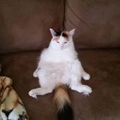 User avatar for Danny Desrosiers Séguin