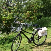 User avatar for Christiane Robitaille