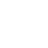 User avatar for Suzanne Taylor