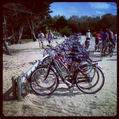 User avatar for Jane King