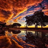 User avatar for Liga Wilkinson