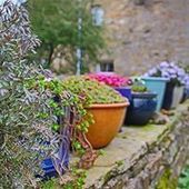 User avatar for Julia Duffin