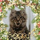 User avatar for Caroline Miks