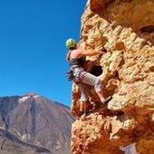 User avatar for Alex Nicholson