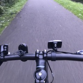 User avatar for Steven Young