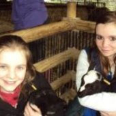 User avatar for Steve Cottee