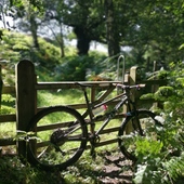 User avatar for Marc Fothergill