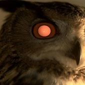 User avatar for Andy Smith