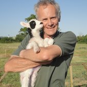 User avatar for Andrew Capell