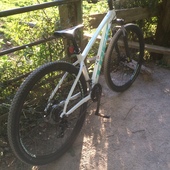 User avatar for Céline Tevlin