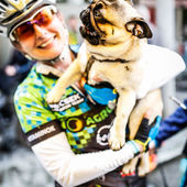 User avatar for Annamaria Havasi