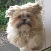 User avatar for Jacqui Boyle