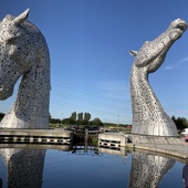 User avatar for Grant Lamont