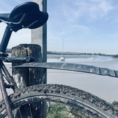 User avatar for Darren Mollan